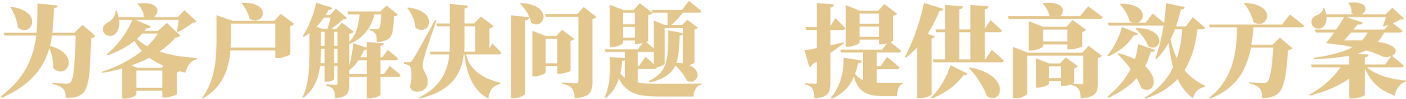 为客户解决问题 提供高效方案